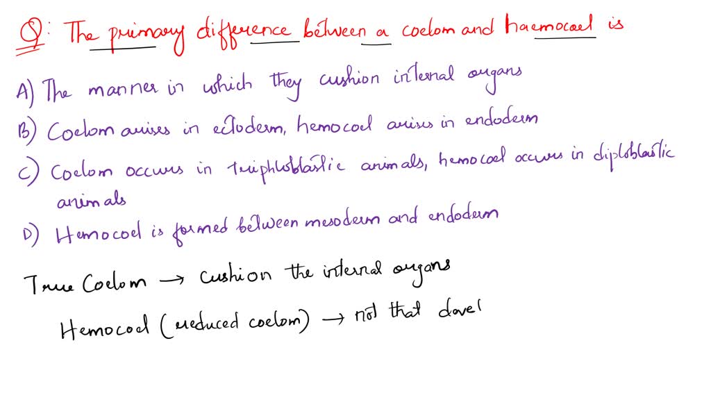 solved-what-is-the-primary-difference-between-a-coelom-and-a-hemocoel