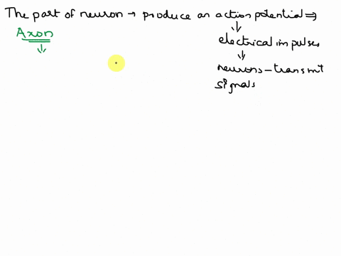which-part-of-the-neuron-can-actually-produce-an-action-potential-why-94346