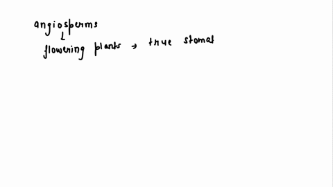 which-types-of-plants-possess-true-stomata-liverworts-ferns-angiosperms-mosses-26465