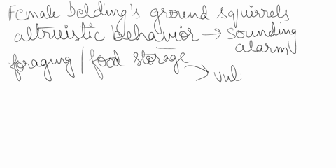 in-beldings-ground-squirrels-why-are-females-much-more-likely-than-males-to-engage-in-altruistic-beh-74877