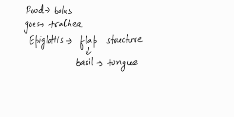 if-part-of-a-food-bolus-goes-down-your-trachea-which-of-the-following-likely-malfunctioned-epiglottis-hard-palate-or-uvula-54549