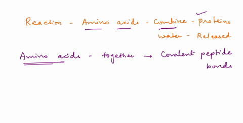 what-type-of-reaction-happens-when-amino-acids-combine-to-form-proteins-and-water-is-released-26947