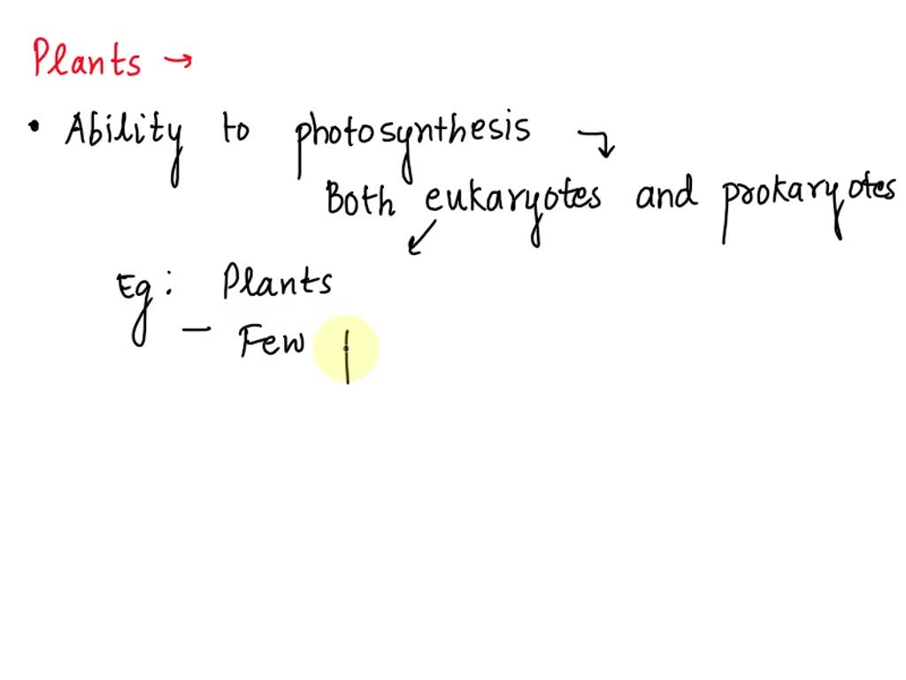 question which of the following is not a true statement about fertilizers