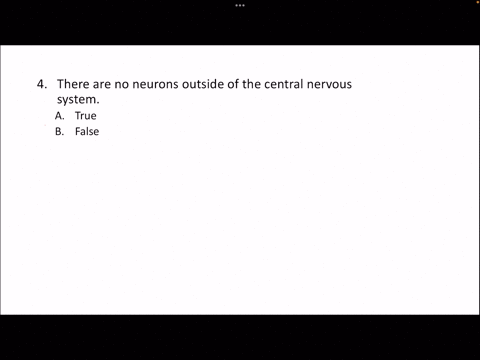 just-answer-no-explaining-1-which-of-the-following-is-found-only-in-the-central-nervous-system-group-of-answer-choices-a-spinal-nerves-b-pacinian-or-lamellated-corpuscels-c-free-nerve-ending-44268