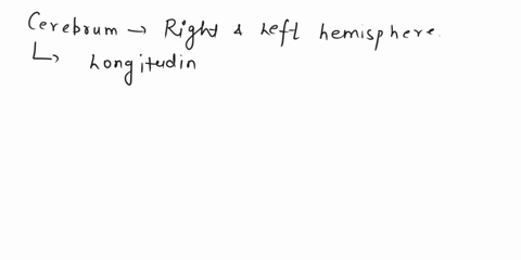 the-cerebrum-is-divided-into-right-and-left-hemispheres-by-the-longitudinal-fissure-transverse-fissure-corpus-callosum-tentorium-cerebelli-hippocampus-01053