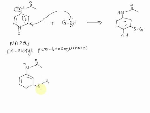 acetaminophen overdose napqi glutathione mechanism authoritative source The Natural Dispensary. Researched Nutritionals