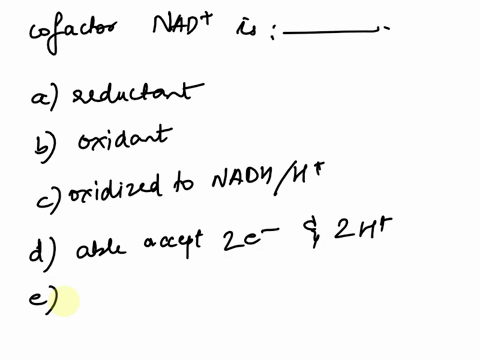 the-cofactor-nad-is-a-a-reductant-b-an-oxidant-c-oxidized-to-nadhh-in-dehydrogenase-reactions-d-able-to-accept-2-electrons-and-2-protons-e-covalently-linked-to-enzymes-in-whose-catalytic-act-75994