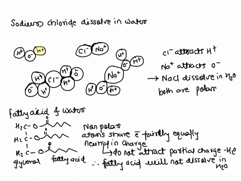 sodium-chloride-naci-is-compound-composed-of-a-cation-and-an-anion-briefly-explain-how-and-why-this-compound-would-dissolve-in-water-make-sure-you-describe-the-atomic-interactions-involved-i-31855