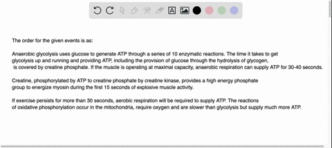 put-the-following-sequence-in-order-regarding-the-available-sources-of-energy-in-skeletal-muscle-creatine-phosphorylated-by-atp-to-creatine-phosphate-by-creatine-kinase-provides-a-high-energ-67643