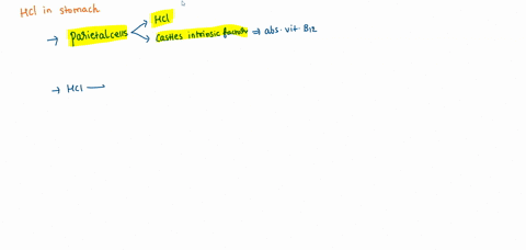 which-of-the-following-is-an-important-function-of-hydrochloric-acid-in-the-stomach-destroys-ingested-pathogens-helps-liquefy-food-converts-pepsin-into-vitamin-bt2-and-2-but-not-3-12-and-3-24607