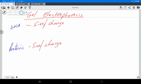 electrophoresis-is-used-to-separate-both-dna-and-proteins-why-would-this-process-not-work-well-for-separating-lipids-24358