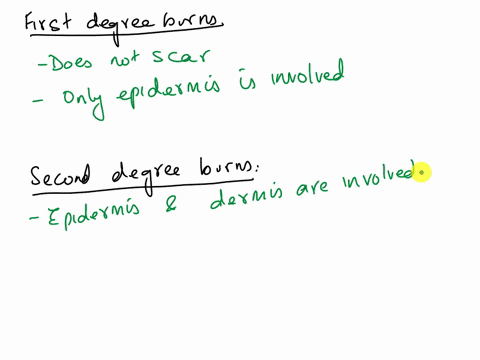 is-this-correct-types-of-burns-the-labels-list-different-characteristics-of-burnsfor-each-characteristicdrop-the-label-into-the-appropriate-box-full-thickness-burn-growth-of-epithelium-from-57253