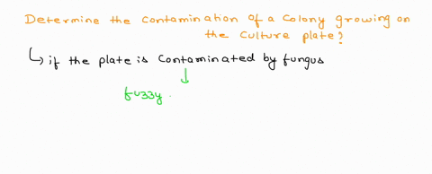how-could-you-tell-if-one-of-the-colonies-on-your-pure-plate-was-a-contaminant-from-the-environment-and-did-not-come-from-your-original-culture-86982