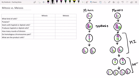 compare-mitosis-with-meiosis-in-terms-of-the-following-properties-a-the-kind-of-cells-in-whihc-it-occurs-b-what-are-purposes-of-mitosis-and-meiosis-c-whether-the-cells-are-haploid-or-diploid-44211