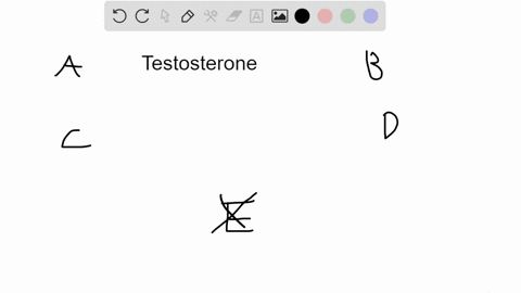 what-cells-in-the-female-reproductive-system-produce-testosterone-a-theca-cells-b-levdig-cells-c-luteal-cells-d-granulosa-cells-e-charlonic-cells-48257