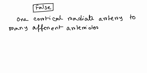 ch25urinary-system-biockage-to-one-cortical-radiate-artery-will-cause-a-single-collecting-duct-to-no-longer-receive-filtrate-true-or-false-true-false-93926