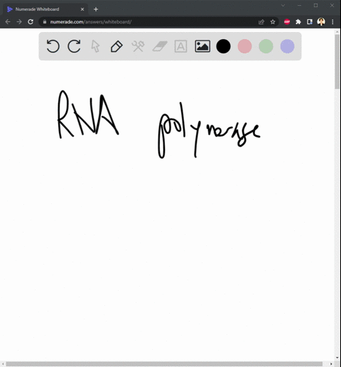 in-the-expression-of-generna-polymerase-requires-which-of-the-following-in-order-to-start-transcription-dna-polymerase-iii-anticodons-ribosomes-jnd-trna-transcription-factors-18034