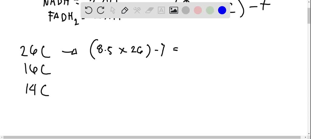 Solved: Calculate The Energy Yield Of A Triglyceride That Contains The 