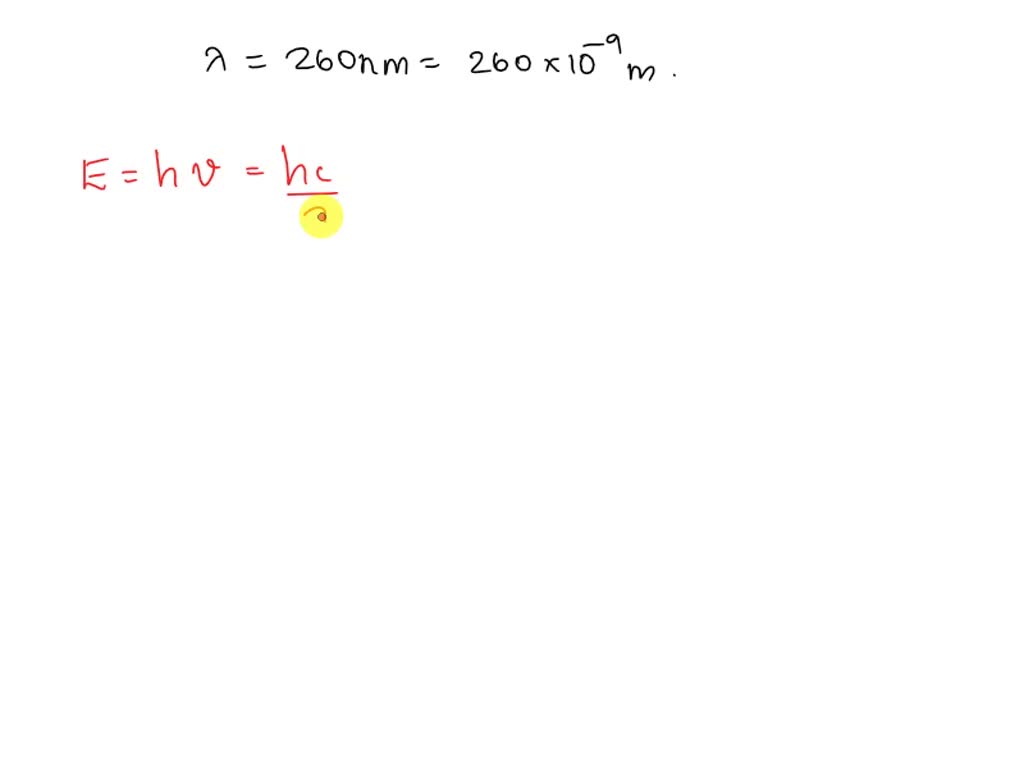 SOLVED A singlestranded DNA helix absorbs more light at 260 nm than a