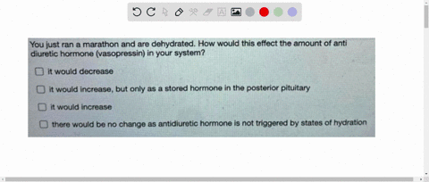 you-just-ran-a-marathon-and-are-dehydrated-how-would-this-effect-the-amount-of-anti-diuretic-hormone-vasopressin-in-your-system-it-would-decrease-it-would-increase-but-only-as-stored-hormone-49626
