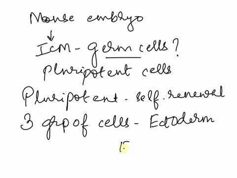 1-you-have-isolated-a-population-of-cells-from-the-inner-cell-mass-of-a-mouse-embryo-you-suspect-these-cells-are-germ-cells-and-want-to-verify-they-have-pluripotent-stem-cell-potential-propo-83924