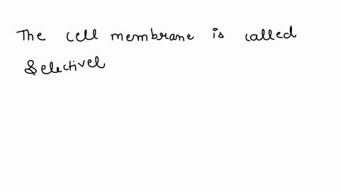 why-is-the-plasma-membrane-called-a-selectively-permeable-membrane-52439