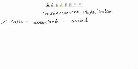 during-countercurrent-multiplication-water-is-reabsorbed-into-the-blood-from-the-descending-limb-of-the-loop-of-henle-because-a-nacl-is-transported-out-of-the-ascending-limb-b-it-is-co-trans-36917