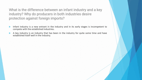 what-is-the-difference-between-an-infant-industry-and-a-key-industry-why-do-producers-in-both-industries-desire-protection-against-foreign-imports-64132