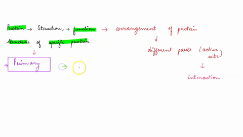 describe-how-a-proteins-structure-relates-to-its-function-include-a-description-of-the-levels-of-protein-structure-as-well-as-a-specific-example-of-a-protein-its-name-structure-and-function-14367