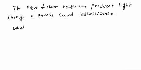 a-vibrio-fischeri-mutant-that-produces-light-even-at-low-cell-density-has-been-identified-this-mutation-most-likely-is-found-in-the-_____-gene-87227