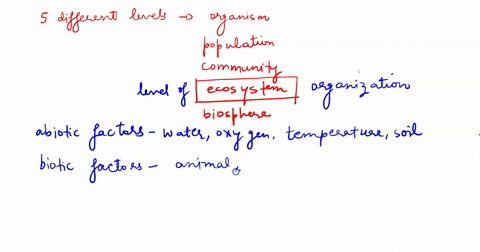 how-does-the-level-of-ecological-organization-an-ecologist-studies-influence-the-questions-he-or-she-poses-while-an-ecologist-may-focus-on-a-particular-level-of-ecological-organization-might-58957