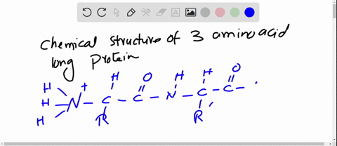 1-draw-the-chemical-structure-of-a-protein-peptide-3-amino-acids-long-substitute-r-for-each-side-chain-include-every-atom-in-your-structure-label-on-your-diagram-the-peptide-bond-and-amino-e-67663