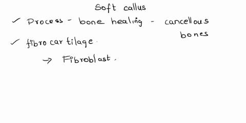 what-materials-make-up-a-soft-callus-multiple-choice-compact-bone-and-collagen-cancellous-bone-and-fibrocartilage-cancellous-bone-and-marrow-collagen-and-fibrocartilage-01546