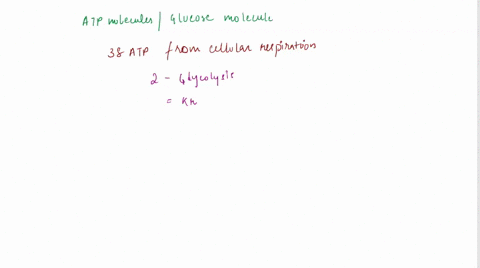 1-how-many-molecules-of-atp-per-molecule-of-glucose-is-yielded-in-the-oxidation-of-glucose-in-anaerobic-cells-2-under-anaerobic-conditions-nadh-produced-by-glycolysis-is-recycled-by-a-reacti-59679