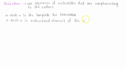 8-2-points-an-anticodon-is-located-on-which-of-the-following-trna-coding-dna-strand-mrna-rrna-template-dna-strand-80255