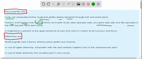 list-some-similarities-and-differences-between-the-bones-in-the-human-arm-and-leg-23443