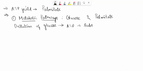 why-does-atp-yield-per-carbon-for-glucose-and-palamite-differ-when-you-use-standard-free-energies-as-compared-to-using-in-vivo-values-for-atp-production-52086