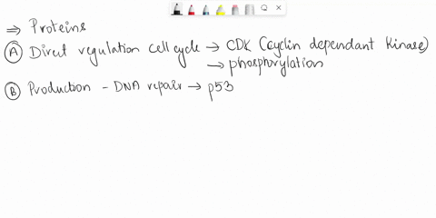 for-questions-9-thru-14-match-the-protein-with-the-activity-a-direct-regulation-of-cell-cycle-processes-b-stimulate-production-of-enzymes-involved-in-dna-repair-c-anti-apoptotic-protein-d-mi-50215