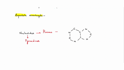 wild-type-e-coli-cells-can-synthesize-all-20-common-amino-acids-but-some-mutants_-called-amino-acid-auxotrophs-are-unable-to-synthesize-specific-amino-acid-and-require-its-addition-to-the-cu-14402