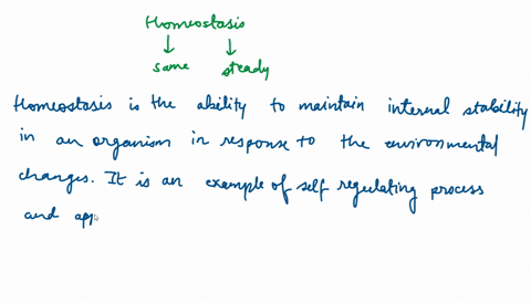 define-the-concept-of-homeostasis-58317