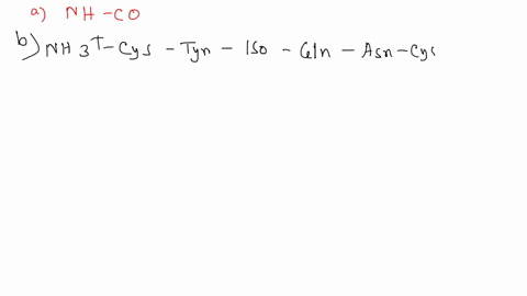 examine-the-structure-of-oxytocin-below-peptide-of-nine-amino-acids-a-nonapeptide-the-sequence-is-cysteine-tyrosine-isoleucine-glutamine-asparagine-cysteine-proline-leucine-glycine-the-cyste-94443