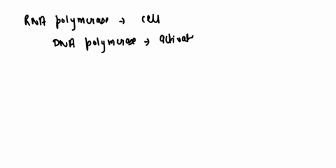 why-is-rna-polymerase-always-present-in-the-cell-while-dna-polymerase-has-to-get-activated-during-specific-times-52543