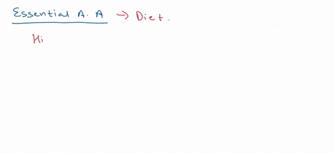 define-and-give-an-example-of-an-essential-and-a-nonessential-amino-acid-04132