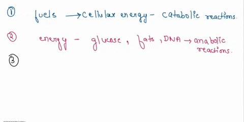 chapter-15-metabolism-basic-concepts-and-design-those-reactions-that-transform-fuels-into-cellular-energy-are-called-those-reactions-that-require-energy-such-as-the-synthesis-of-glucose-fats-24965