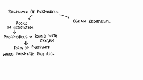 earths-largest-phosphorus-reservoir-is-___________-a-the-atmosphere-b-bird-droppings-c-sediments-and-36536
