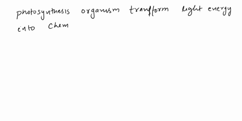 what-gas-is-produced-during-photosynthesis-and-released-into-the-atmosphere-61972
