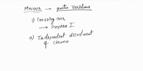 how-does-the-process-of-meiosis-lead-to-genetic-variation-83263