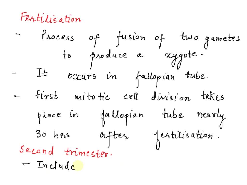 SOLVED Question 1 (1 point) Saved In humans as in all mammals