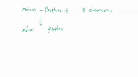 a-cell-in-prophase-ii-of-meiosis-contains-12-chromosomes-how-many-chromosomes-would-be-present-in-a-cell-from-the-same-organism-if-it-were-in-prophase-of-mitosis-prophase-i-of-meiosis-58587