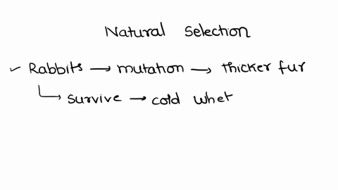 plz-answer-aspa-which-of-the-following-is-an-example-of-natural-selection-explain-why-a-cricket-frogs-prefer-to-sleep-during-the-daywhile-red-eyed-tree-frogs-prefer-to-sleep-during-the-night-77693